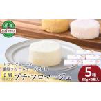 ケーキ カステラ チーズケーキ 2層仕立てのプチ