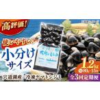 魚貝類 しじみ 全3回定期便 シジミ ヤマトシジミ