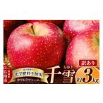 ショッピングふるさと納税 訳あり 傷 ふるさと納税 りんご 青森県 弘前市  25年10月〜発送 りんご 千雪 約3kg カワムラファーム 訳あり 先行受付 青森 果物 フルーツ 林檎 リンゴ くだもの 予約