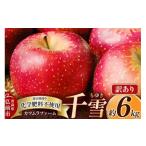 ショッピングふるさと納税 訳あり 傷 ふるさと納税 りんご 青森県 弘前市  25年10月〜発送 りんご 千雪 約6kg カワムラファーム 訳あり 先行受付 青森 果物 フルーツ 林檎 リンゴ くだもの 予約