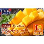 ショッピングふるさと納税 マンゴー ふるさと納税 マンゴー 沖縄県 石垣市 ［予約受付］美ら姫マンゴー1kg（完熟・アーウィン種） 2026年7月中旬〜順次発送 産地直送 沖縄県 石垣市 マンゴー フル…