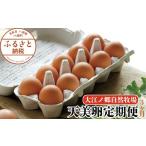 卵 鶏 烏骨鶏等 3か月定期便 平飼い天美卵30個〈大江ノ郷自…