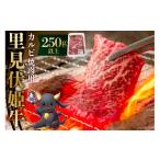 牛肉 焼肉 バーベキュー 里見伏姫牛 カルビ焼肉用250g以上