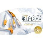 生き物 紅白ミックスメダカ 6匹