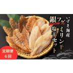 干物 定期便 偶数月 6回 銀フグミリン干し