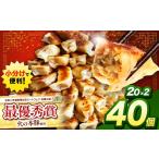 豚肉 火の本豚餃子 20個×2パック