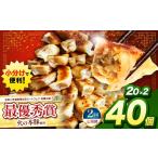 豚肉 定期便2回 火の本豚餃子 20個×2パック