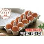 卵 鶏 烏骨鶏等 6か月定期便 平飼い天美卵30個〈大江ノ郷自…