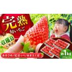 いちご 250g×4パック