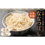 ふるさと納税 玄米 北