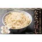 ふるさと納税 米 ゆめ
