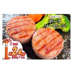 肉 ソーセージ BJ277 総重量2kg越え 2.4kg