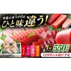 マグロ 12月中にお届け 対馬産 本マグロ 4種
