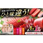 マグロ 12月中にお届け 対馬産 本マグロ 4種