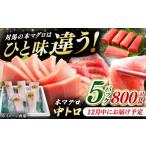 マグロ 12月中にお届け 対馬産 養殖 本マグロ