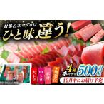 マグロ 12月中にお届け 対馬産 生 本マグロ 500g