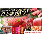 マグロ 12月中にお届け 対馬産 生 本マグロ 800g