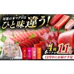 マグロ 12月中にお届け 対馬産 本マグロ 4種