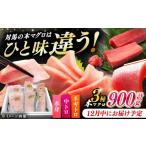 マグロ 12月中にお届け 対馬産 本マグロ 3種