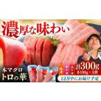 マグロ 12月中にお届け 対馬産 本マグロ