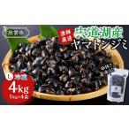 魚貝類 しじみ 漁師直送 宍道湖産ヤマトシジミ