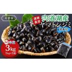 ふるさと納税 魚貝類 しじみ 島根県 出雲市  訳あり 漁師直送 宍道湖産ヤマトシジミ・Mサイズ冷凍3.0kg
