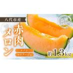 ふるさと納税 メロン メロン赤肉 熊本県 八代市  先行予約 赤肉メロン（レノンまたはマリアージュメロン）約1.3kg 果物 くだもの 旬 ご褒美 季節の果物 赤肉 …