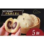 菓子 饅頭 \TVで多数紹介 二色あんまん 5個