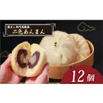 菓子 饅頭 \TVで多数紹介 二色あんまん 12個