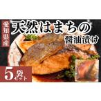 魚貝類 岬だよりの天然はまちの醤油漬け