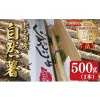 野菜類 山菜 予約受付 自然薯 500g
