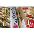 野菜類 山菜 予約受付 自然薯 1kg