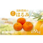 ショッピングふるさと納税 訳あり ふるさと納税 果物類 みかん 愛媛県 伊方町  先行予約 訳あり はるみ9kg 離島への配送不可（2026年2月上旬頃より順次発送予定） ふるさと納税 人気 おすすめ …