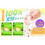 4回定期便 ベビーコットンワイド 200枚×2個