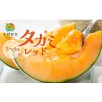 ショッピングふるさと納税 メロン ふるさと納税 メロン メロン赤肉 愛知県 田原市  先行予約 2026年6月発送 3〜5玉 タカミレッド 5kg 3〜5玉 水野農園 3〜5玉 12000円