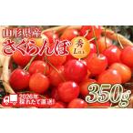 ふるさと納税 果物類 
