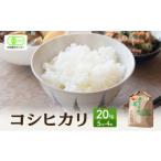 米 コシヒカリ 有機JAS 認証 白米 20kg