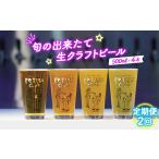 ビール 地ビール 隔月定期便2回 FETISH