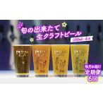ビール 地ビール 毎月定期便6回 FETISH