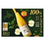果汁飲料 りんご 100%リンゴジュース