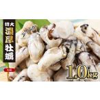 ふるさと納税 牡蠣 福岡県 赤村 急速冷凍 国産牡蠣1kg（500g×2袋）冷凍 加熱用 殻なし 牡蠣フライ・鍋に 国産 かき 牡蠣 海鮮 急速凍結 鍋 の季節に もつ鍋 …