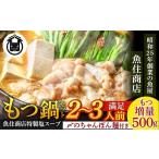 モツ鍋 A1593.魚住商店特製塩もつ鍋セット2~3人前