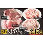 豚肉 焼肉 バーベキュー 鹿屋産豚 BBQセット 計2.45kg