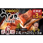 ふるさと納税 うなぎ 愛知県 豊橋市  3回 定期便 国産若うなぎ 2尾 老舗 国産うなぎ セット 詰め合わせ 蒲焼 ウナギ 2尾 うなぎ 鰻 ウナギ unagi 土用 丑の日 …