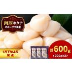 ふるさと納税 魚貝類 ホタテ 北海道 浜頓別町  1月末発送 ほたて 冷凍貝柱 冷凍(15粒前後)200ｇ×3パック お取り寄せ 刺身 《横田水産》