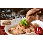 ふるさと納税 牛肉 宮城県 角田市 牛肉 仙台牛 牛すじ 煮込み 300g × 1個 | 肉 お肉 にく 牛 ブランド 牛スジ あて おかず おつまみ お酒に合う 冷凍 温める…