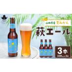 ビール 地ビール やまぐち三ツ星セレクション