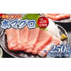 中トロ 定期便 2回 約250g
