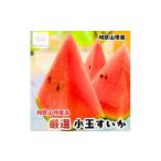 厳選 小玉すいか Mサイズ 1玉入り