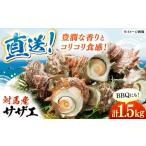 fu.... налог Sazae Nagasaki префектура на лошадь город на лошадь прямая поставка Sazae 1.5kg { на лошадь город }... . акционерное общество прямая поставка от производителя рефрижератор рассылка .....BBQ морепродукты морепродукты на лошадь Nagasaki sashimi .....